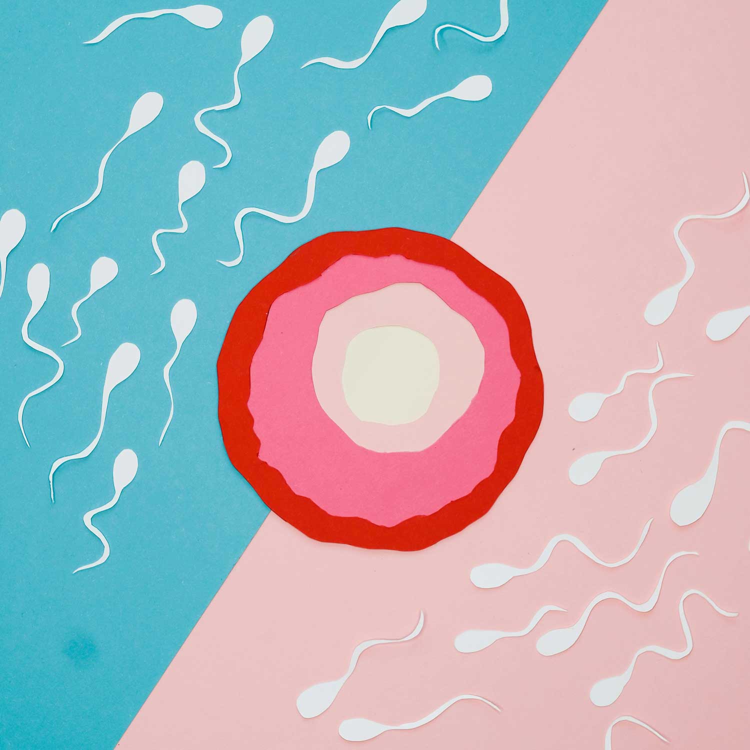 Sperm Selection study