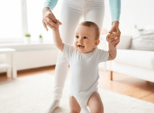 Donor and Surrogacy